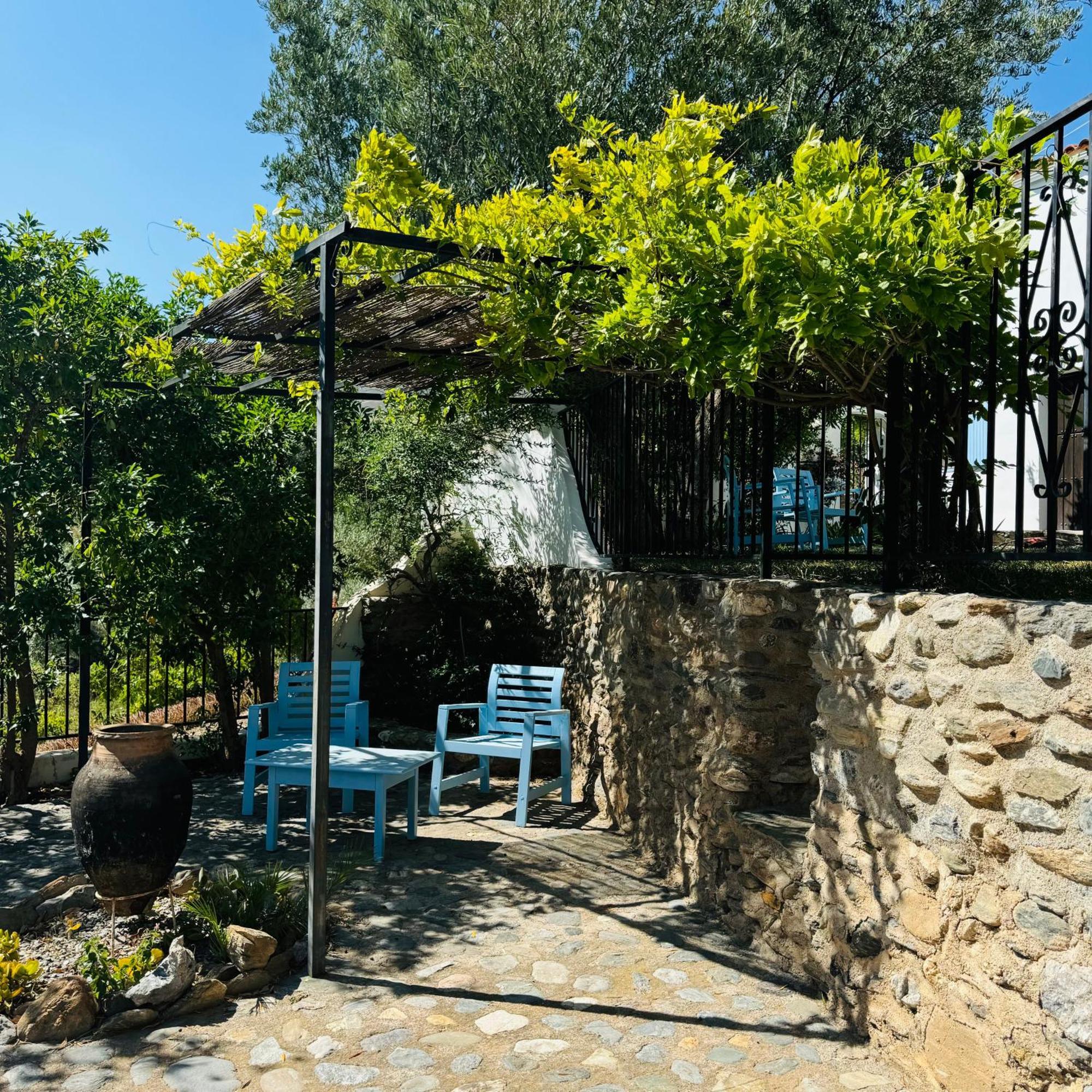 Вілла Almond Hill House Орхіва Екстер'єр фото
